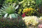 Glen Iris VICplanting-garden-and-landscape-design-24.jpg; ?>